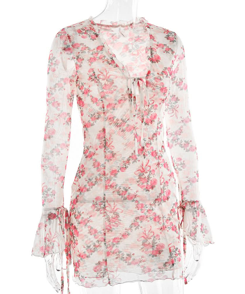 Romantic Rose Mesh Mini Dress | Sheer Long Sleeve V-Neck for Fall Date Nights & Beyond