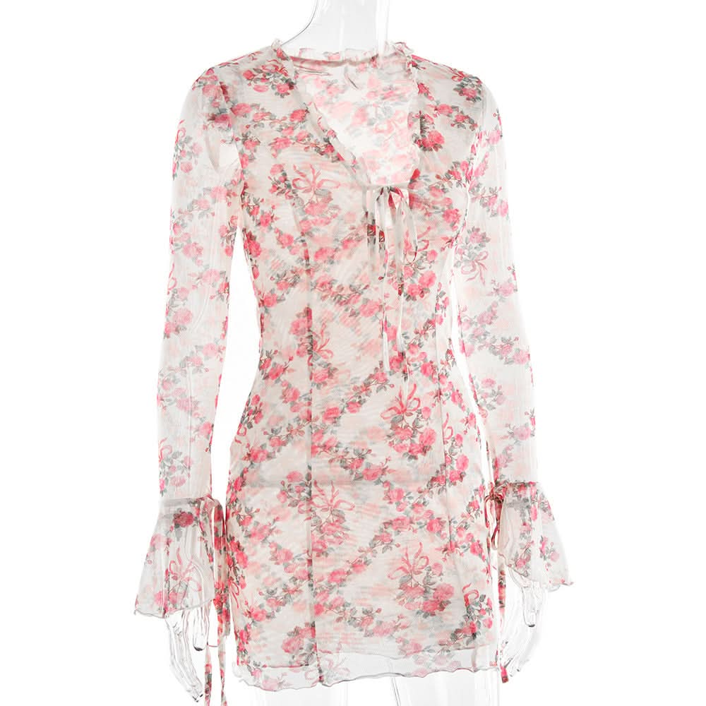 Romantic Rose Mesh Mini Dress | Sheer Long Sleeve V-Neck for Fall Date Nights & Beyond