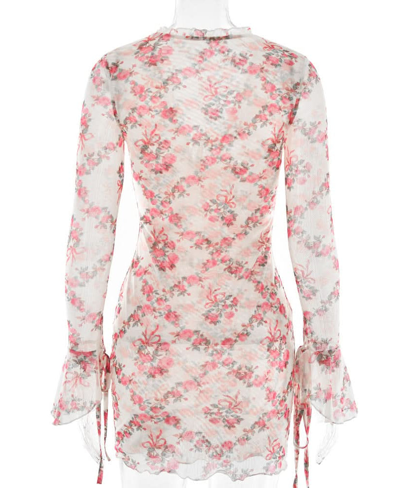 Romantic Rose Mesh Mini Dress | Sheer Long Sleeve V-Neck for Fall Date Nights & Beyond
