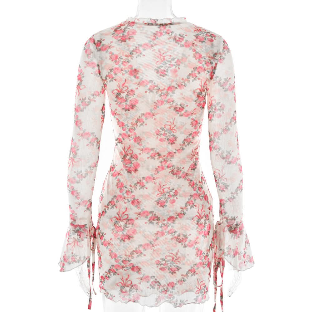 Romantic Rose Mesh Mini Dress | Sheer Long Sleeve V-Neck for Fall Date Nights & Beyond