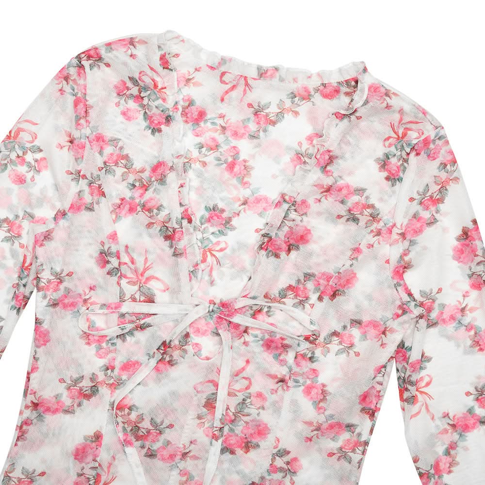 Romantic Rose Mesh Mini Dress | Sheer Long Sleeve V-Neck for Fall Date Nights & Beyond