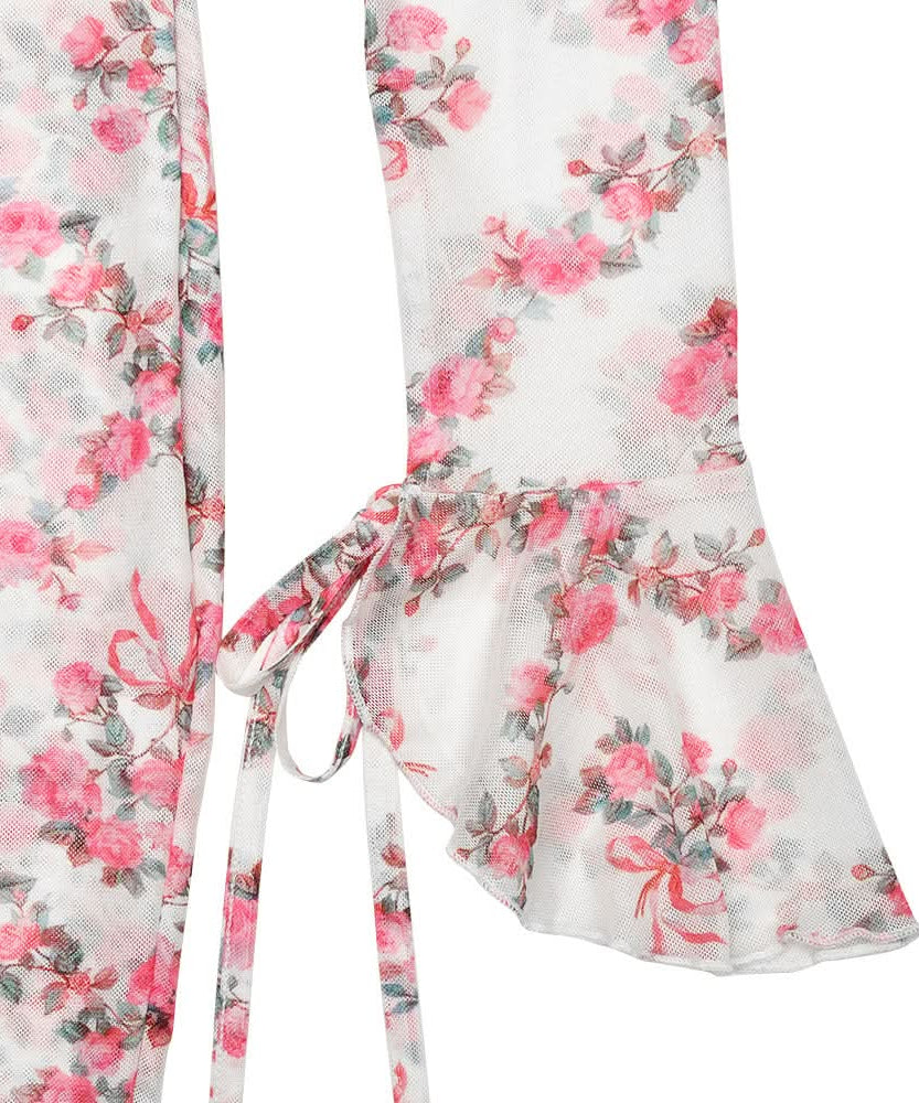 Romantic Rose Mesh Mini Dress | Sheer Long Sleeve V-Neck for Fall Date Nights & Beyond