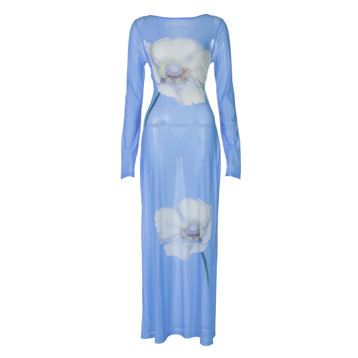 Ethereal Bloom Long Sleeve Mesh Maxi Dress - Sheer Blue Floral for Fall Layering