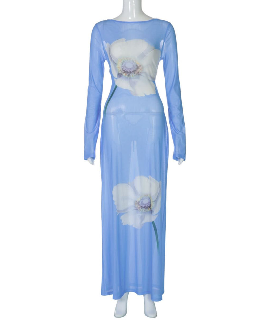 Ethereal Bloom Long Sleeve Mesh Maxi Dress - Sheer Blue Floral for Fall Layering