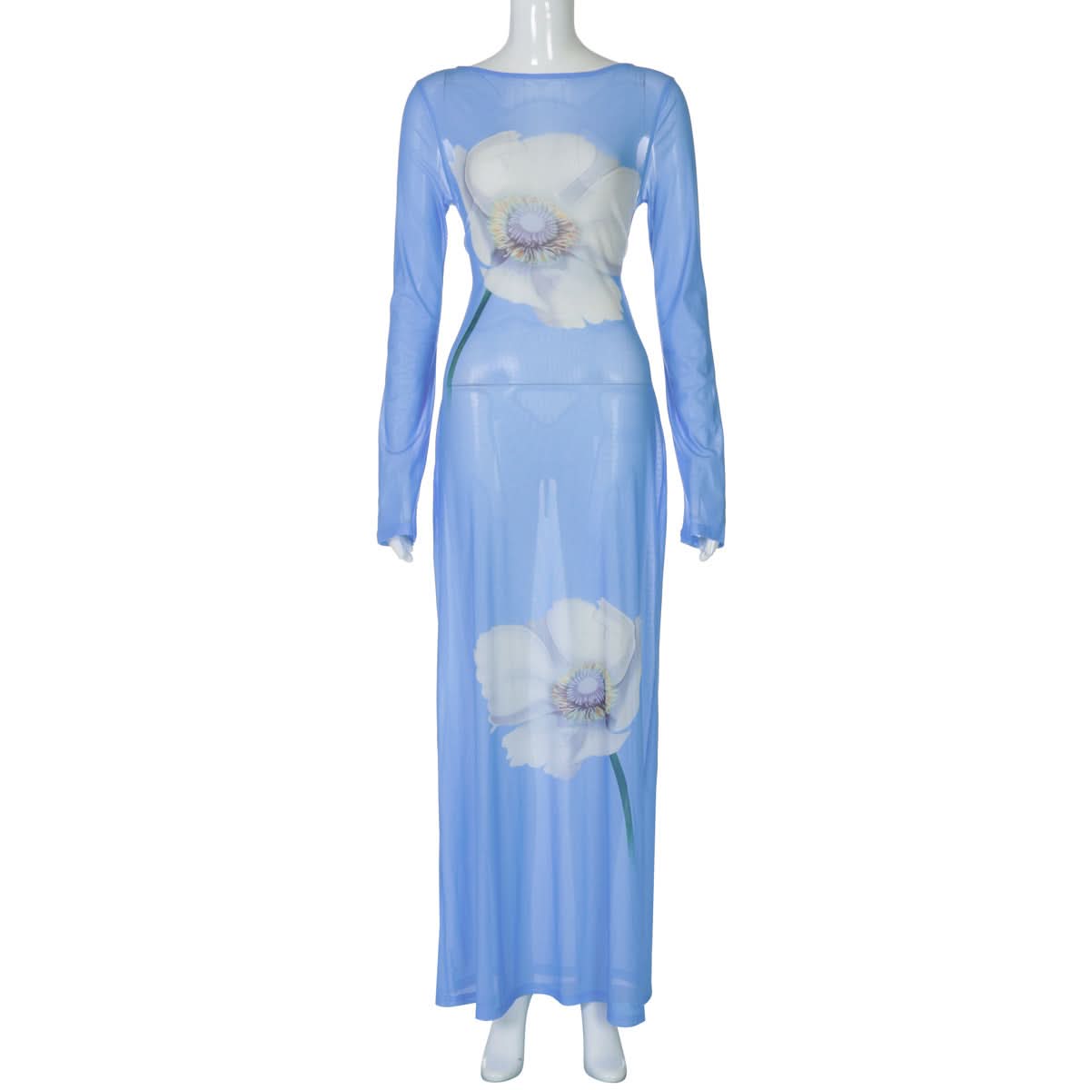 Ethereal Bloom Long Sleeve Mesh Maxi Dress - Sheer Blue Floral for Fall Layering