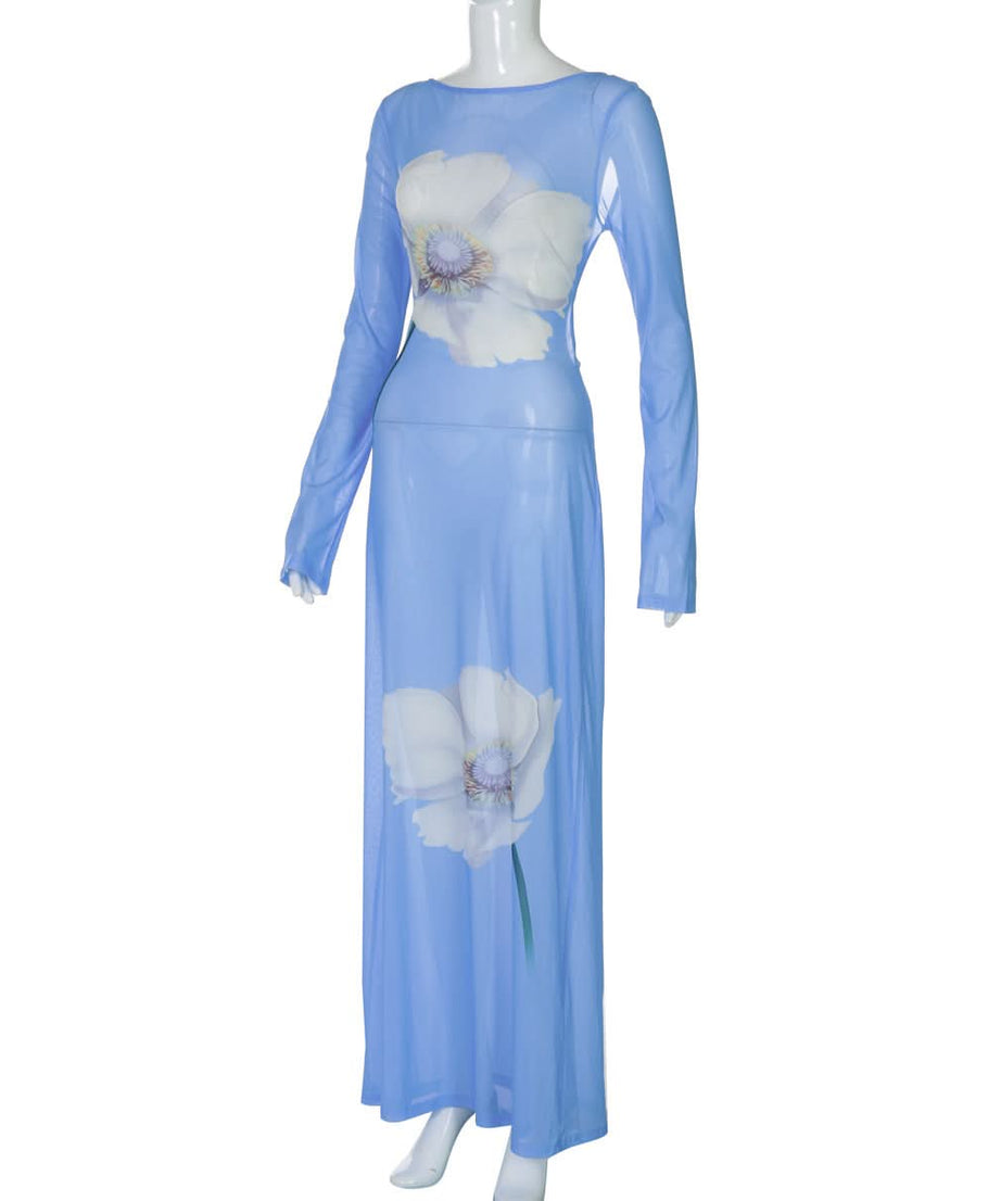 Ethereal Bloom Long Sleeve Mesh Maxi Dress - Sheer Blue Floral for Fall Layering