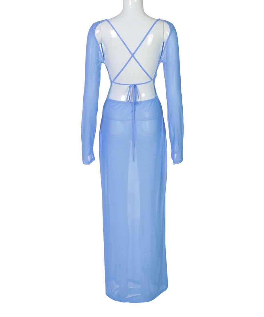 Ethereal Bloom Long Sleeve Mesh Maxi Dress - Sheer Blue Floral for Fall Layering