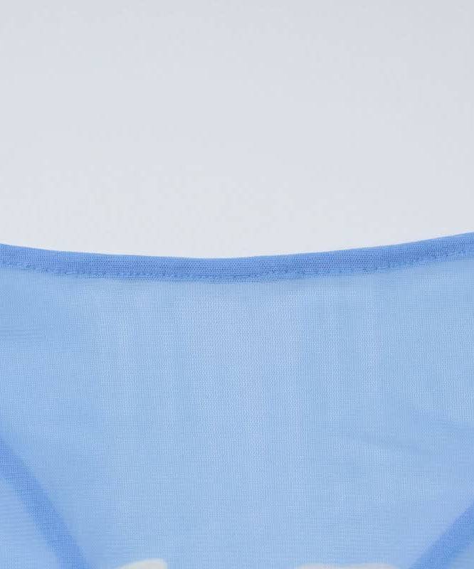 Ethereal Bloom Long Sleeve Mesh Maxi Dress - Sheer Blue Floral for Fall Layering