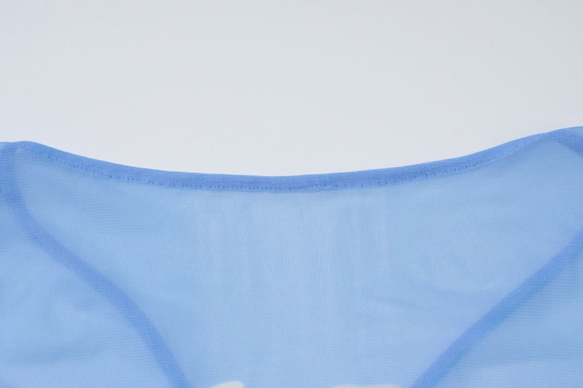 Ethereal Bloom Long Sleeve Mesh Maxi Dress - Sheer Blue Floral for Fall Layering