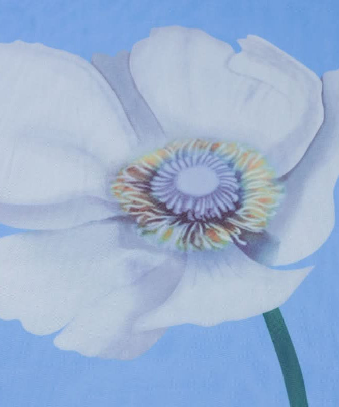 Ethereal Bloom Long Sleeve Mesh Maxi Dress - Sheer Blue Floral for Fall Layering