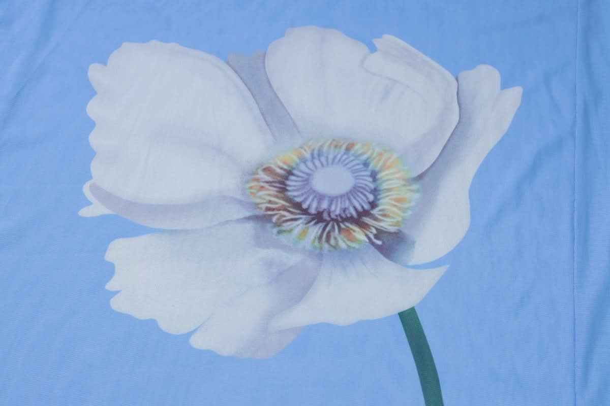 Ethereal Bloom Long Sleeve Mesh Maxi Dress - Sheer Blue Floral for Fall Layering