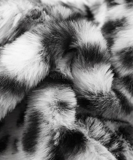 Fierce & Fluffy Leopard Print Halter Crop Top & Drawstring Shorts Set - Your Wild Side Awaits This Fall!