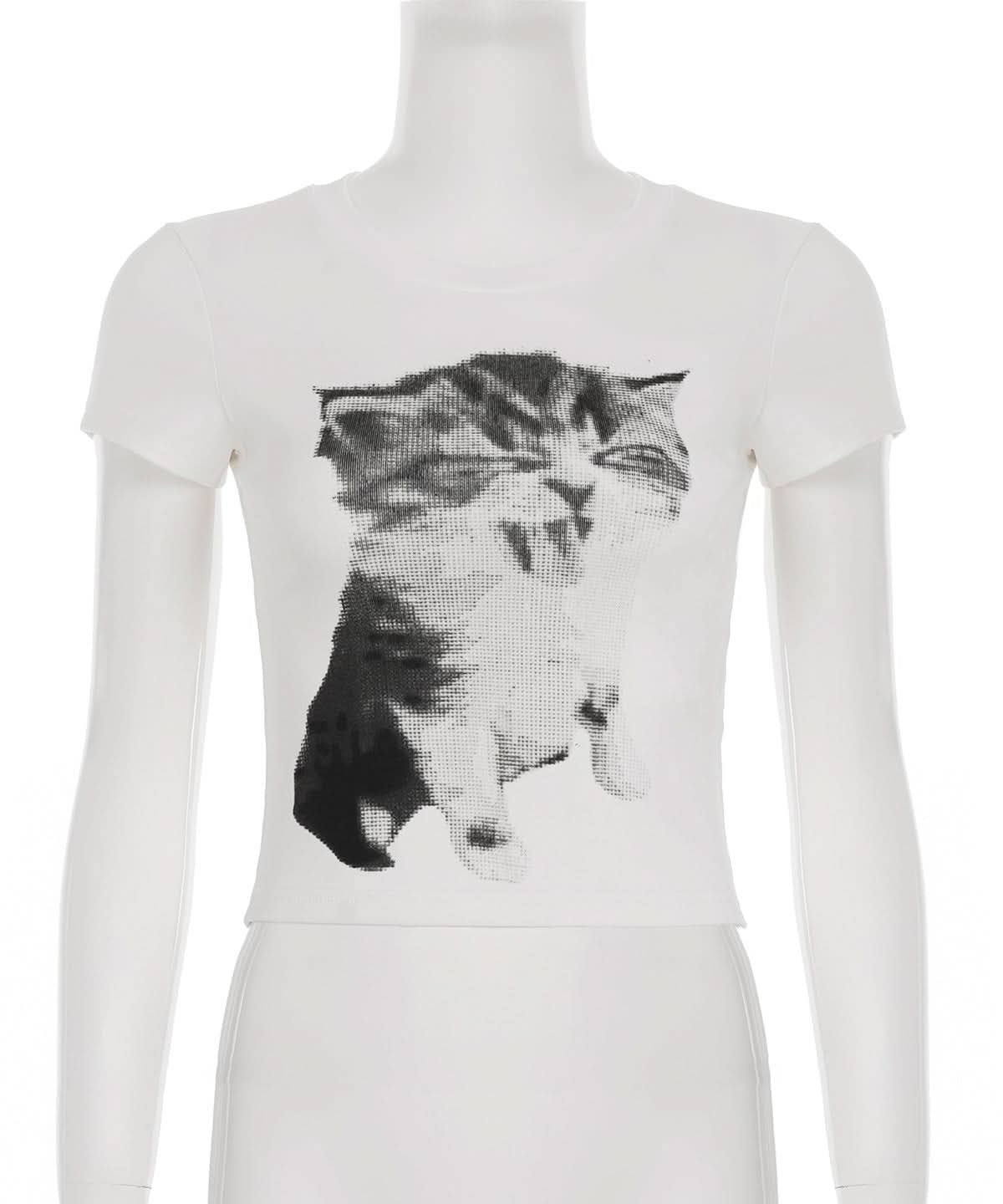 Purr-fectly Cozy: Adorable Kitten Graphic Tee – Soft Cotton Blend for Effortless Fall Style
