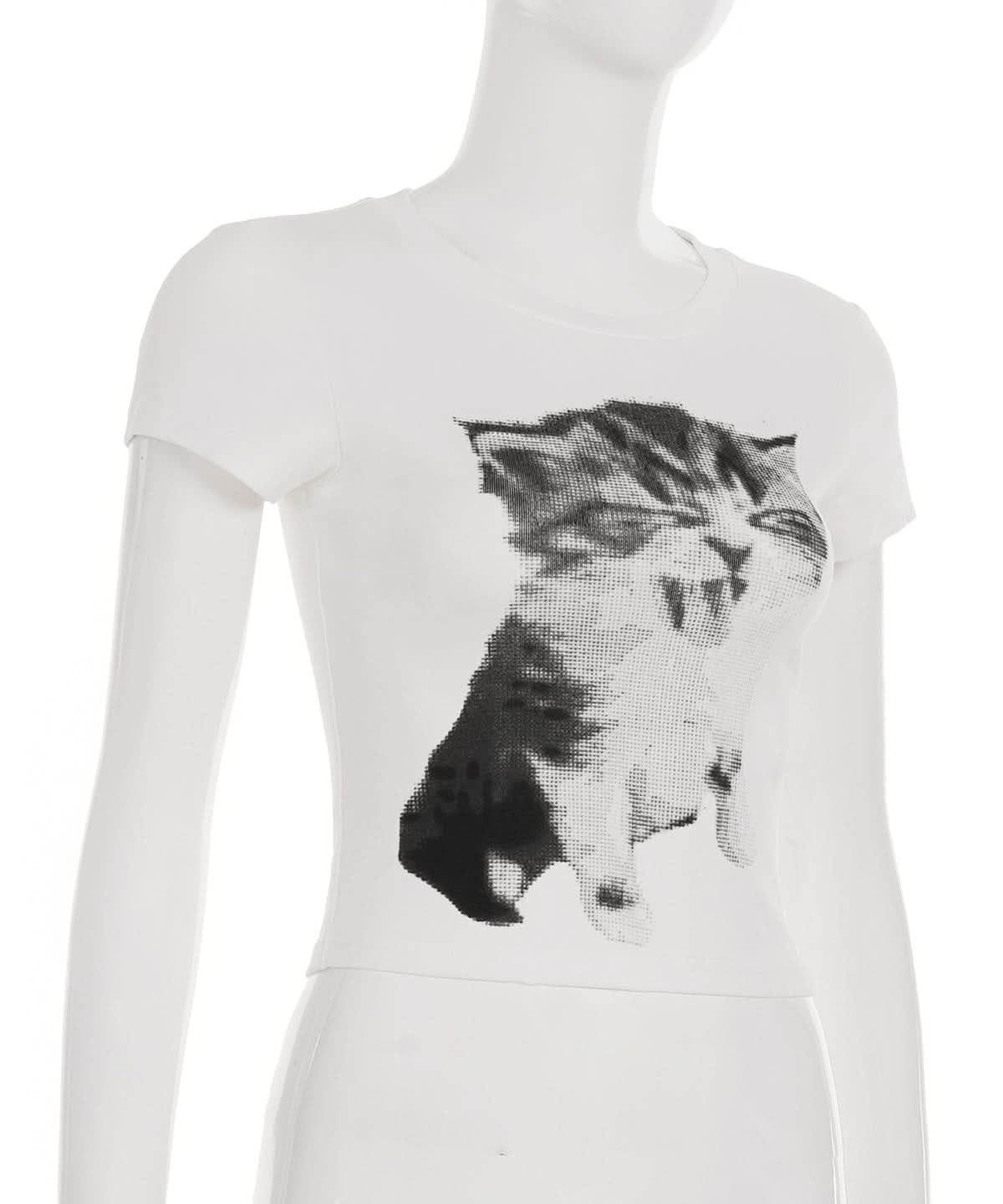 Purr-fectly Cozy: Adorable Kitten Graphic Tee – Soft Cotton Blend for Effortless Fall Style
