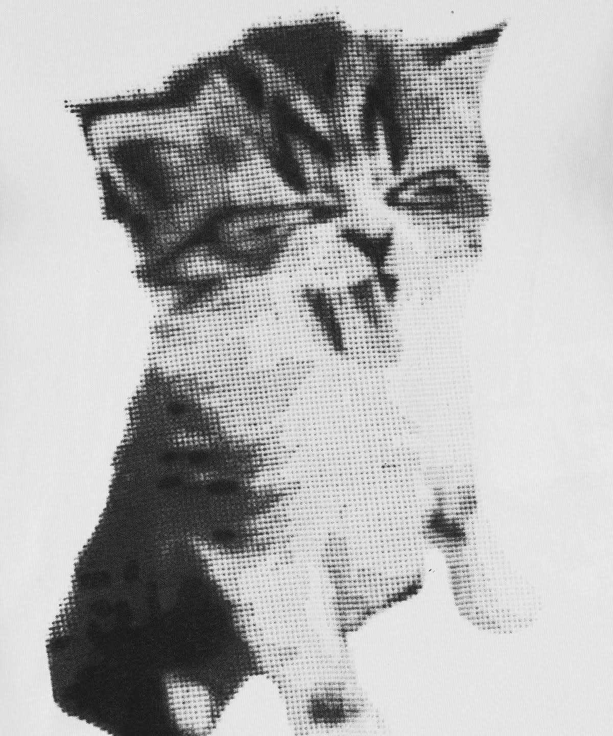 Purr-fectly Cozy: Adorable Kitten Graphic Tee – Soft Cotton Blend for Effortless Fall Style