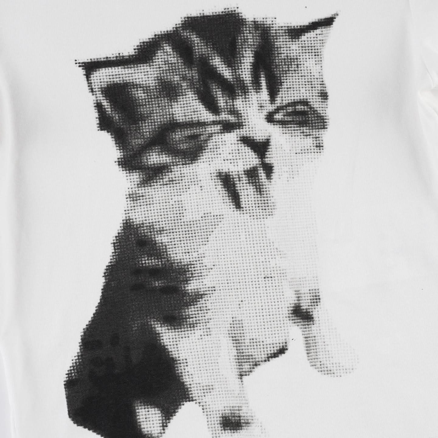 Purr-fectly Cozy: Adorable Kitten Graphic Tee – Soft Cotton Blend for Effortless Fall Style