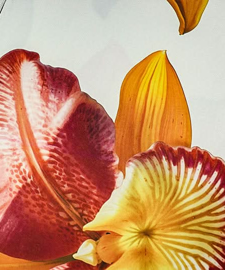 The Paradise Found Cowl Neck Maxi Dress - Elegant Tropical Bloom for Your Fall Getaway