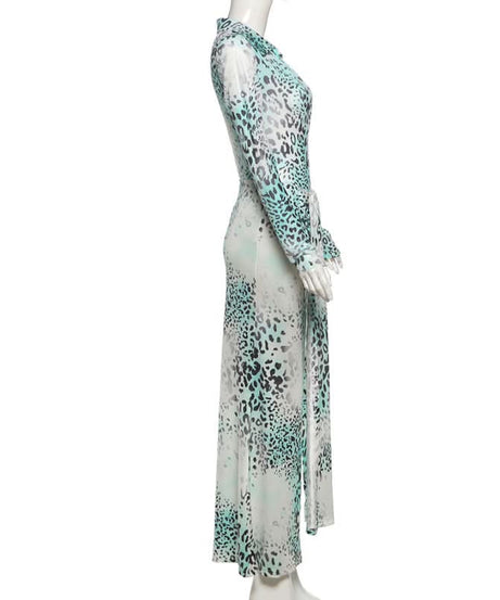 Effortless Fall Glam: Aqua Leopard Long Sleeve Deep V-Neck Maxi Dress