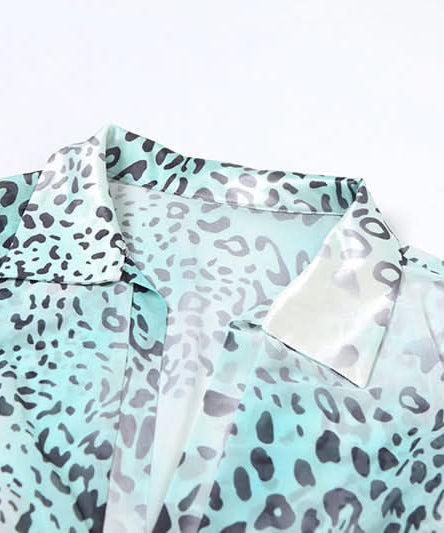 Effortless Fall Glam: Aqua Leopard Long Sleeve Deep V-Neck Maxi Dress