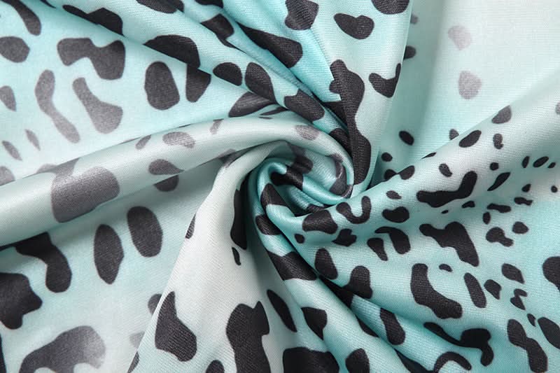 Effortless Fall Glam: Aqua Leopard Long Sleeve Deep V-Neck Maxi Dress