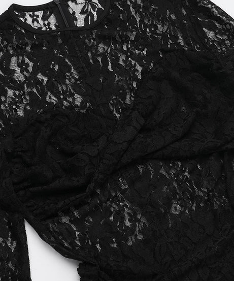 Sultry Black Lace Maxi Dress - Sheer Long Sleeve Bodycon Gown for Fall & Holiday Glamour