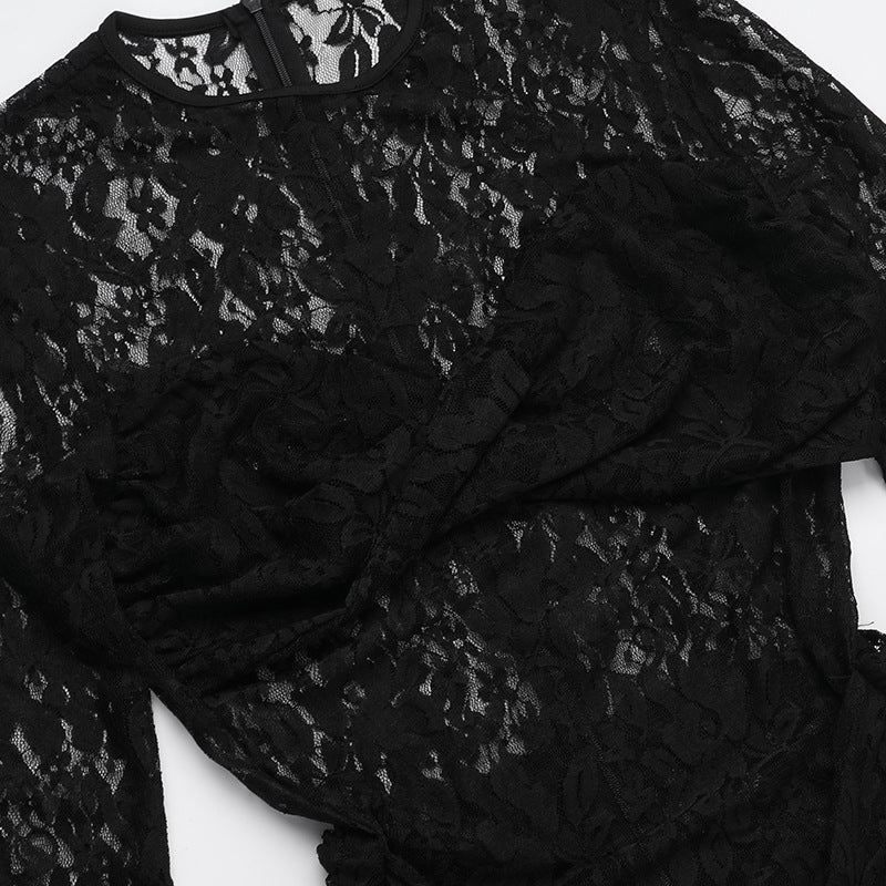 Sultry Black Lace Maxi Dress - Sheer Long Sleeve Bodycon Gown for Fall & Holiday Glamour