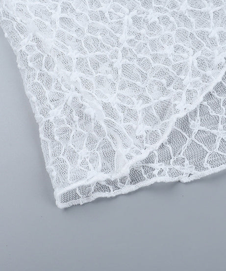 Chic Sheer Lace Long Sleeve Top - Elegant Fall Layering & Holiday Style