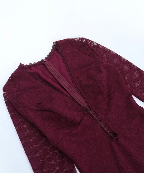 Plunging V-Neck Burgundy Lace Bodycon Mini Dress - Fall & Holiday Party Glam