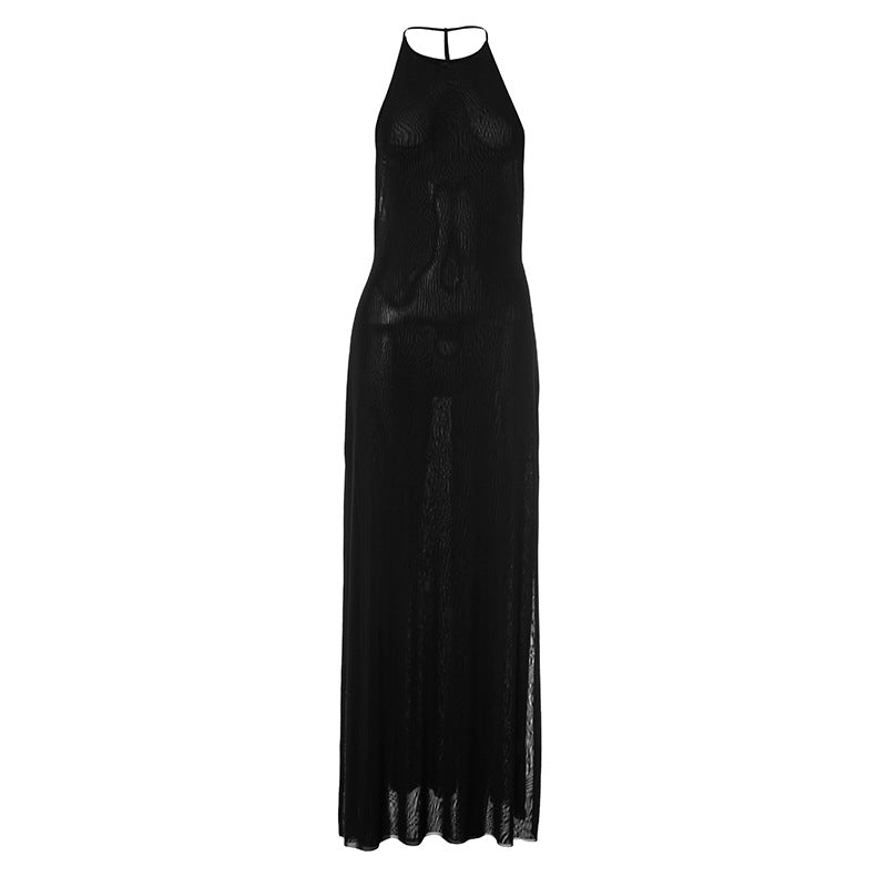 Fall & Holiday Ready: Daring Black Sheer Halter Backless Maxi Dress