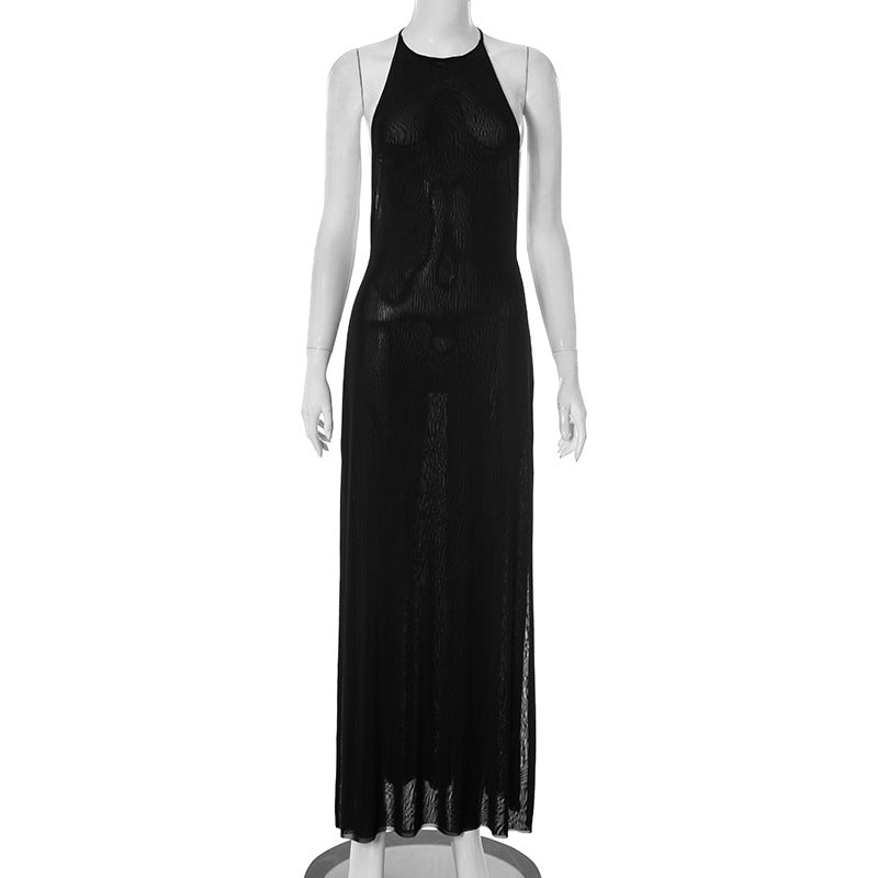 Fall & Holiday Ready: Daring Black Sheer Halter Backless Maxi Dress