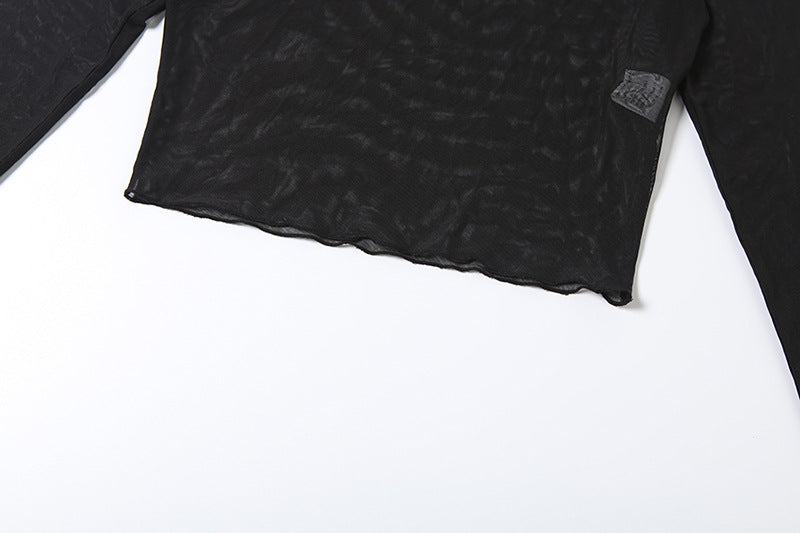 Fierce & Flirty: Sheer Mesh Long Sleeve Crop Top for Fall & Holiday Parties