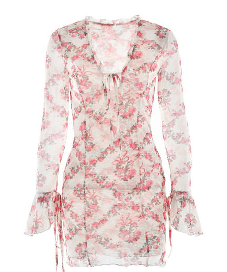 Romantic Rose Mesh Mini Dress | Sheer Long Sleeve V-Neck for Fall Date Nights & Beyond
