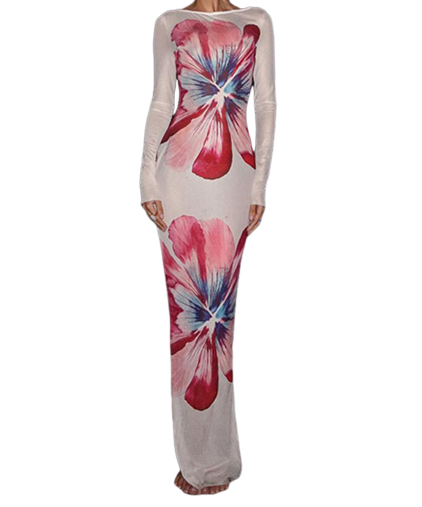 Vibrant Floral Mesh Maxi Dress - Long Sleeve Bodycon for Fall Events & Chic Style