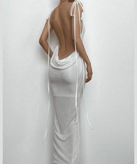 Sleek Backless Cowl Neck Maxi Dress - Your Holiday Party & Resort Getaway Essential
