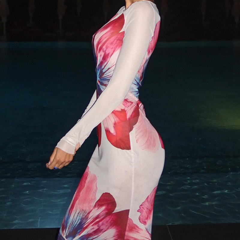 Painterly Bloom Sheer Maxi Dress - Your Glamorous Fall Escape & Resort Statement