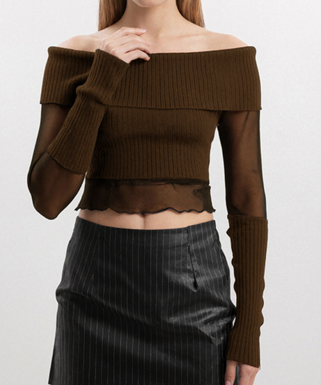 Chic Off-Shoulder Ribbed Knit & Sheer Mesh Top - Your Go-To for Fall/Winter Nights & Holiday Glam