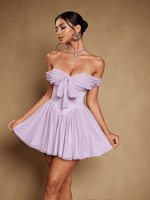 Isidore Off Shoulder Mesh Mini Dress