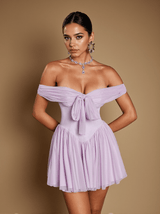 Isidore Off Shoulder Mesh Mini Dress