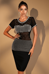 Ilana Pearl Mesh Black Dress