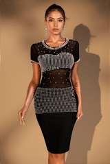 Ilana Pearl Mesh Black Dress