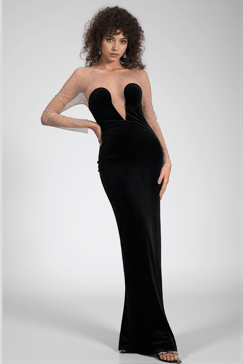 Calatou Mesh Velvet Maxi Dress