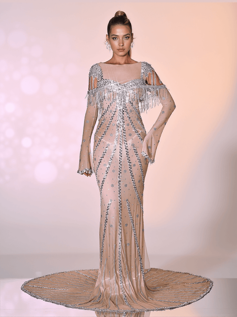 Reagan Long Sleeve Sequin Mesh Maxi Dress