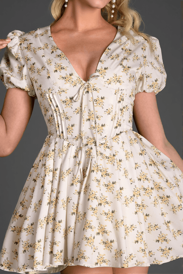 Nassea V-Neck Floral Mini Dress