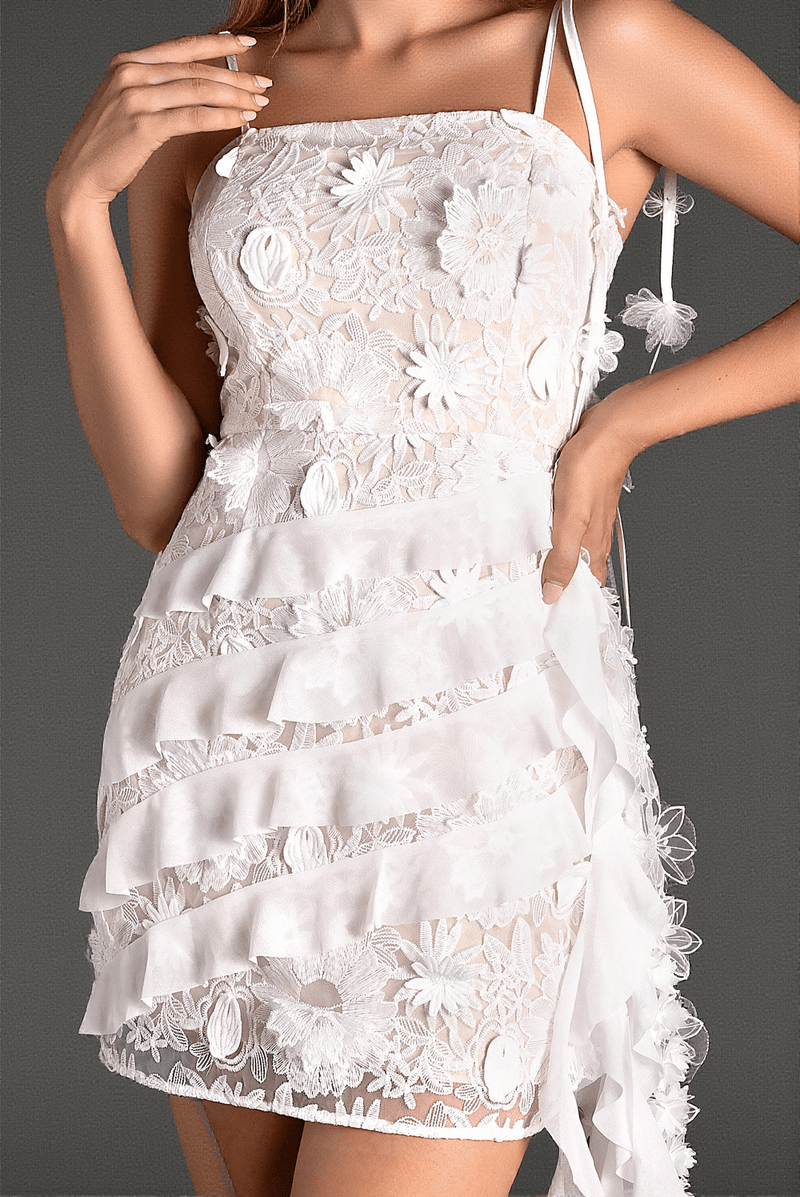 Pagonelis Floral Embroidered Ruffle Mini Dress