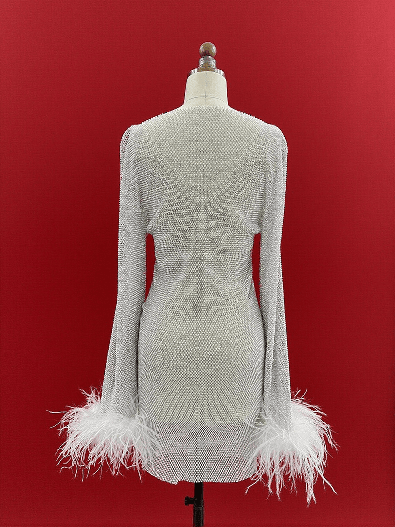 Xanthe Rhinestone Mesh Mini Dress In White