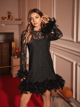 Ulysses Feather Trimmed Lace Dress