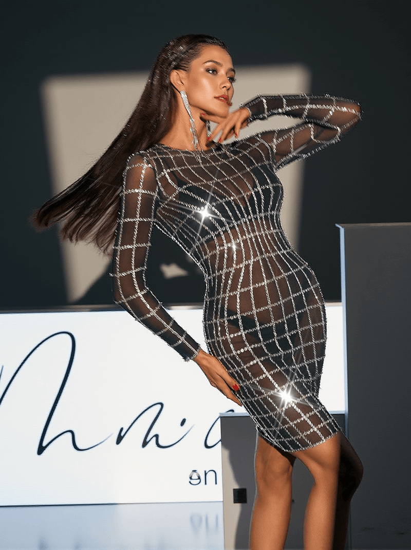 Luan Long Sleeve Net Rhinestone Mesh Dress