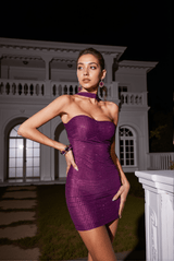 Kyrie Backless Crystal Mini Dress In Purple