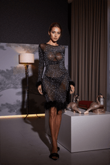 Palmira Rhinestone Feather Mesh Dress