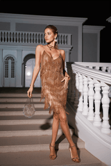 Fiadh Crystal Chain Fringe Mesh Midi Dress